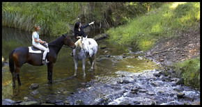 Glenworth Valley Horseriding - Geraldton Accommodation 1