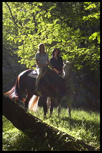 Glenworth Valley Horseriding - Geraldton Accommodation 2