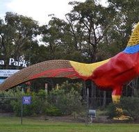Gumbuya Park - Geraldton Accommodation