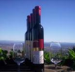 Mount Tamborine Winery  Homestead - Geraldton Accommodation