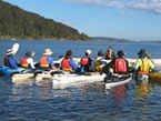 Sydney Harbour Kayaks - Geraldton Accommodation 2
