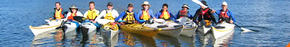 Sydney Harbour Kayaks - Geraldton Accommodation 3