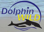 Dolphin Wild - Geraldton Accommodation 0