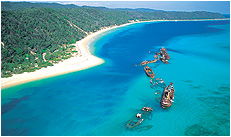 Dolphin Wild - Geraldton Accommodation 3