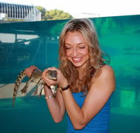 Crocosaurus Cove - Geraldton Accommodation