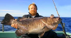 Bravo Fishing Charters - Geraldton Accommodation 0