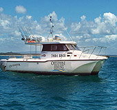 Sunshine Coast Fishing Charters - Geraldton Accommodation 1