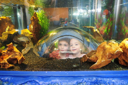 Scitech - Geraldton Accommodation 3