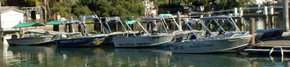Brooklyn Central Boat Hire & General Store - Geraldton Accommodation 1