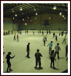 Bendigo Ice Stadium - Geraldton Accommodation 1