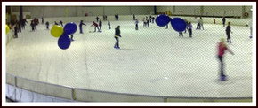 Bendigo Ice Stadium - Geraldton Accommodation 2