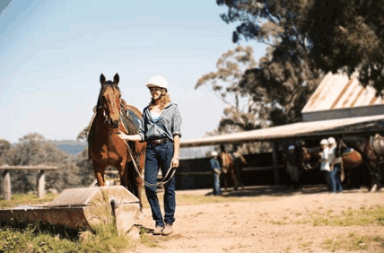 Watsons Trail Rides - Geraldton Accommodation 0