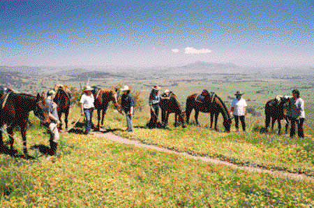 Watsons Trail Rides - Geraldton Accommodation 1