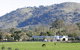Blue Gum Farm - thumb 1