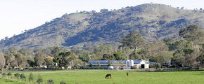 Blue Gum Farm - Geraldton Accommodation 1