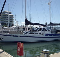 Coral Sea Dreaming Dive and Sail - Geraldton Accommodation