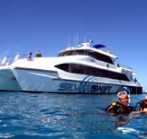 Silver Swift - Geraldton Accommodation