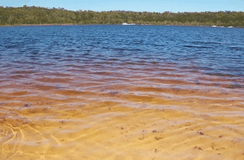 Beach Trekkers North Stradbroke Island - Geraldton Accommodation 1