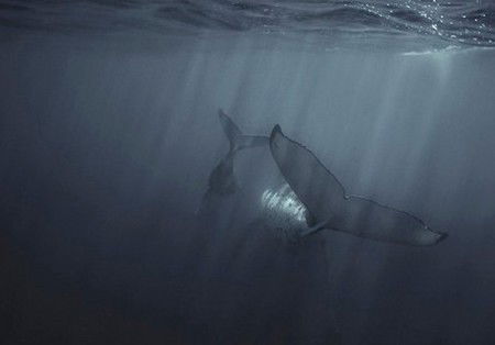 Eleven40 Gallery - Geraldton Accommodation 4