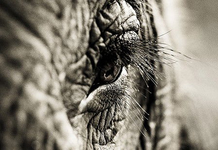 Eleven40 Gallery - Geraldton Accommodation 5