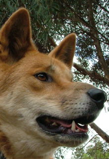 Armadale Reptile & Wildlife Centre - Geraldton Accommodation 5