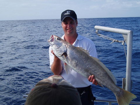 Blue Juice Charters - Geraldton Accommodation 1