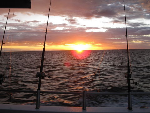 Blue Juice Charters - Geraldton Accommodation 5