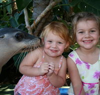 Dolphin Marine Magic - Geraldton Accommodation