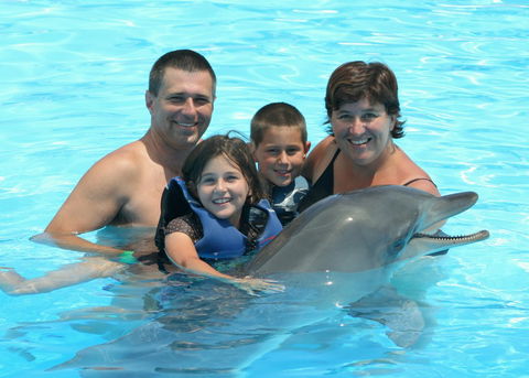 Dolphin Marine Magic - Geraldton Accommodation 2