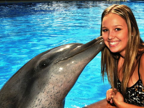 Dolphin Marine Magic - Geraldton Accommodation 3