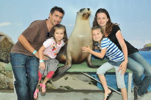 Dolphin Marine Magic - Geraldton Accommodation 6