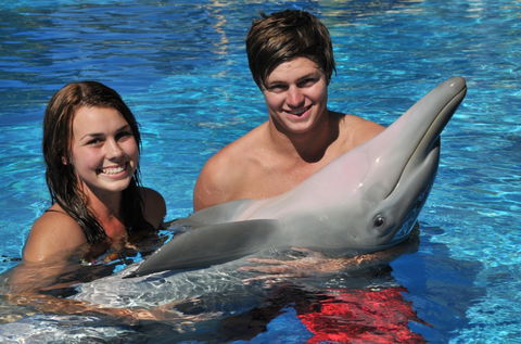 Dolphin Marine Magic - Geraldton Accommodation 8