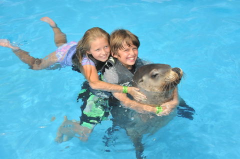 Dolphin Marine Magic - Geraldton Accommodation 9