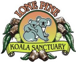 Lone Pine Koala Sanctuary - Geraldton Accommodation 0