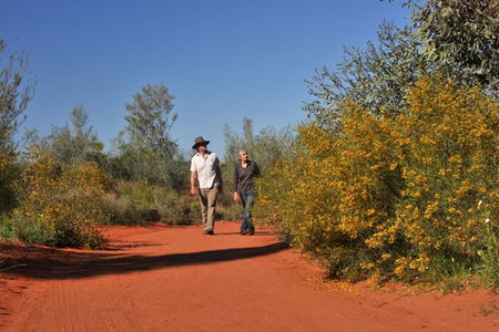 Alice Springs Desert Park - Geraldton Accommodation 3