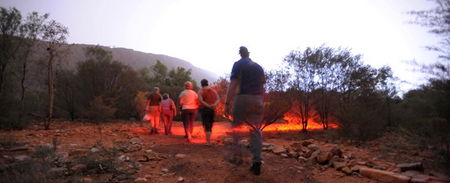 Alice Springs Desert Park - Geraldton Accommodation 4