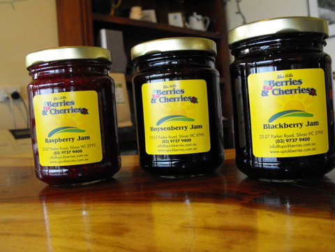 Blue Hills Berries & Cherries - Geraldton Accommodation 1