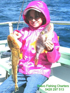 Bravo Fishing Charters - Geraldton Accommodation 5
