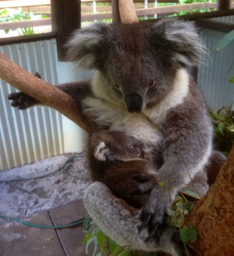 Outback Splash - Geraldton Accommodation 3