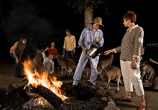 Cairns Night Zoo - Geraldton Accommodation 0