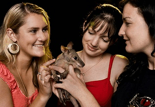 Cairns Night Zoo - Geraldton Accommodation 1