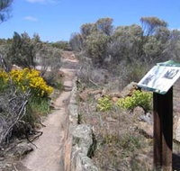Christmas Rock Walk - Geraldton Accommodation