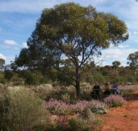 Karlkurla Bushland Park - Geraldton Accommodation