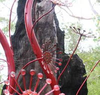 Understory Art In Nature - Geraldton Accommodation