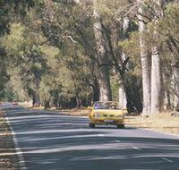 Ludlow Tuart Forest - Geraldton Accommodation