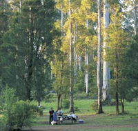 Big Brook Arboretum - Geraldton Accommodation