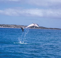 Steep Point - Geraldton Accommodation