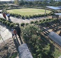 Kojonup Rose Maze - Geraldton Accommodation