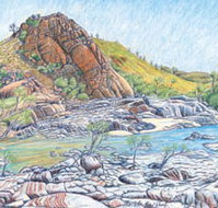 Red Dirt Arts - Geraldton Accommodation