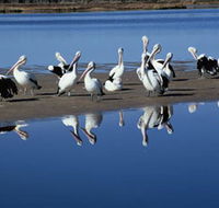 Peel Region Canoe Trails - Geraldton Accommodation